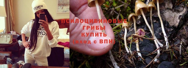 герыч Алексин