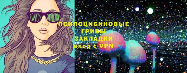 герыч Алексин