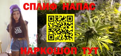 прущие грибы Брянск