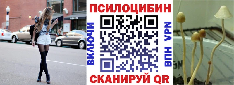 Псилоцибиновые грибы мицелий  купить наркотики цена  Одинцово 