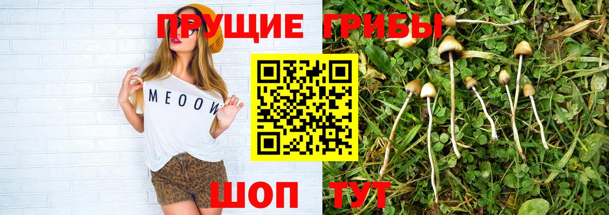Галлюциногенные грибы ЛСД Одинцово