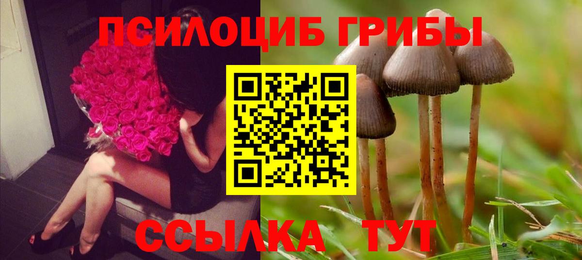 купить закладку  Псилоцибиновые грибы GOLDEN TEACHER  Вход с VPN  Одинцово 