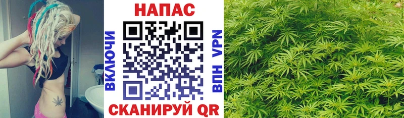 Каннабис MAZAR  Одинцово 